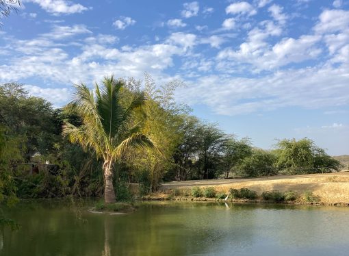 Discovering a Serene Oasis: What To See and Do in the Middle of NowhereIntroduction