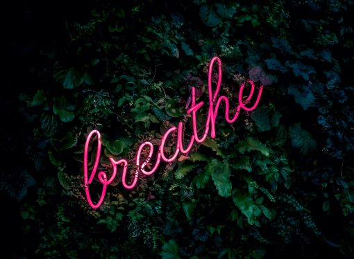 Harnessing the Power of Breath: Simple Techniques for a More Mindful and Productive Day