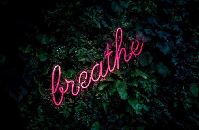 Harnessing the Power of Breath: Simple Techniques for a More Mindful and Productive Day