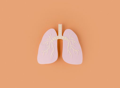 Exploring the Pros and Cons of Using AI in Lung Cancer Screening