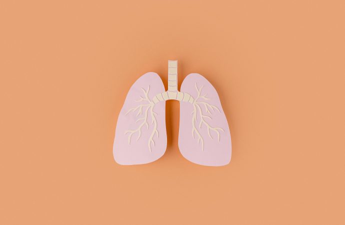 Exploring the Pros and Cons of Using AI in Lung Cancer Screening