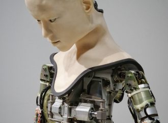 Exploring the Limits of Machine Knowledge: Can AI Truly Understand Human Understanding?