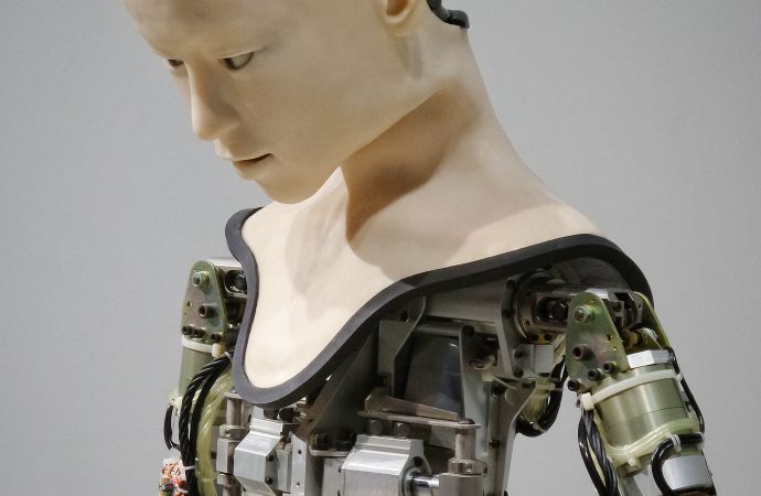 Exploring the Limits of Machine Knowledge: Can AI Truly Understand Human Understanding?