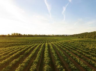 Planting Seeds for Success: The Role of Education and Training in Preparing for the Future of Agriculture Jobs