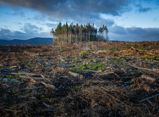 The Power of Policy: How Government Actions Can Make a Lasting Impact on Climate Change