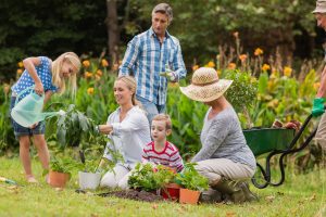 Growing Closer as a Family Through Gardening