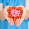 Gut Check: Simple Habits for Optimal Digestive Health
