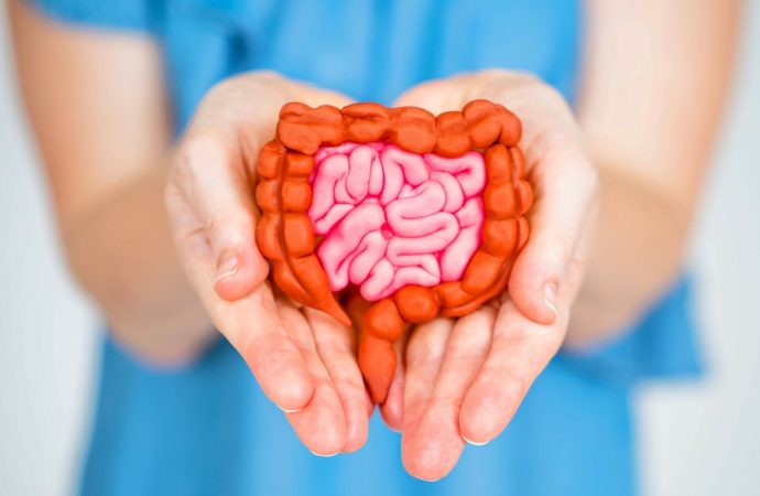 Gut Check: Simple Habits for Optimal Digestive Health