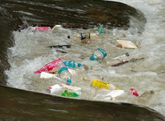 “Closing the Loop: How Circular Economy Can Solve Plastic Pollution”