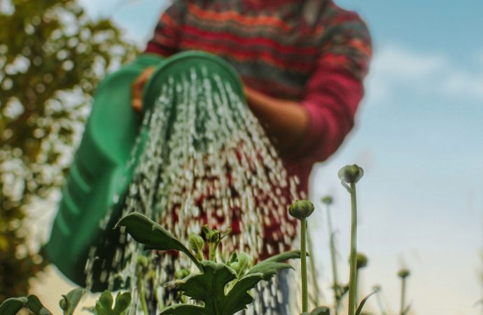 Sustainable Landscaping Made Easy: Tips for Maintaining a Beautiful and Eco-Friendly Yard