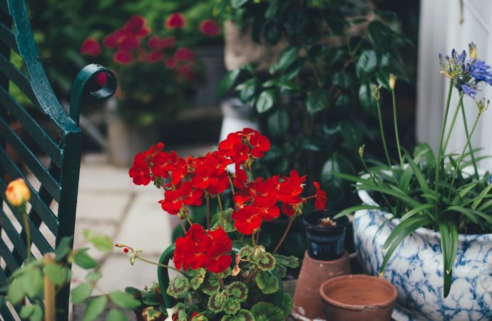 From Overgrown to Oasis: Revamping Your Yard with a Secret Garden Makeover