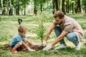 Growing Closer as a Family Through Gardening