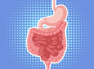 Understanding the Basics of Digestion