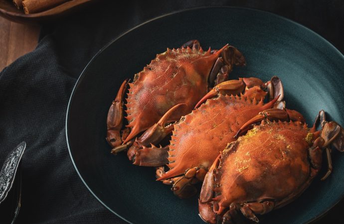 Neanderthal Crab Roast Leftover Finds New Life