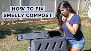 Compost Troubleshooting