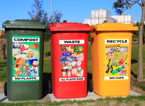 “From Waste to Wealth: How Circular Business is Creating a More Sustainable Future”