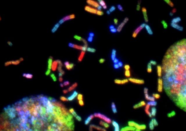 Breaking Down the Basics of Genetics: How Inherited Traits are Passed On