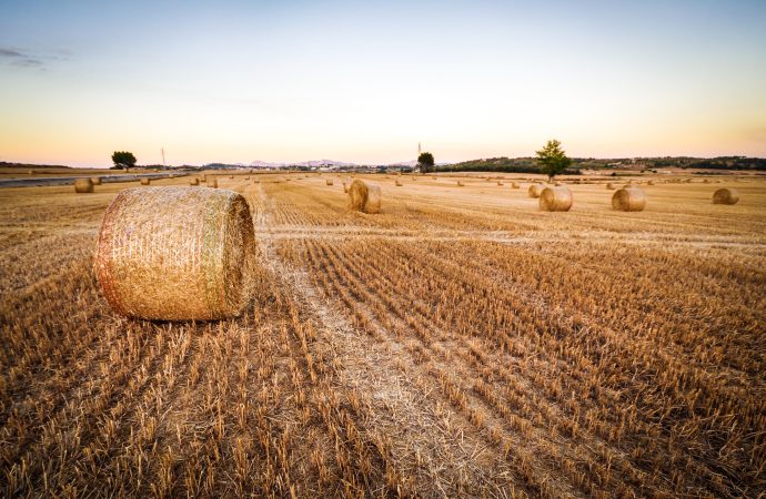 Redefining Sustainability in Agriculture through Precision Farming Practices