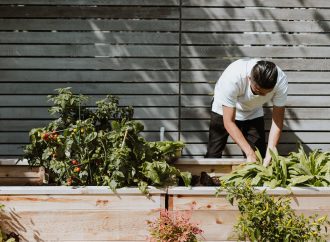 Nature Therapy: The Connection Between Gardening, Mindfulness, and Emotional Wellness