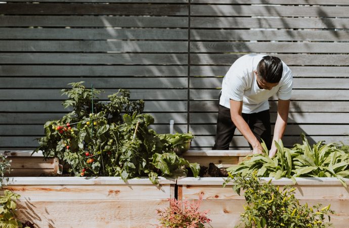 Nature Therapy: The Connection Between Gardening, Mindfulness, and Emotional Wellness