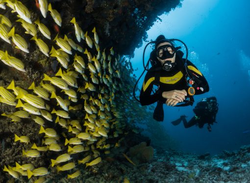 Scuba diving and snorkeling: The best spots worldwide