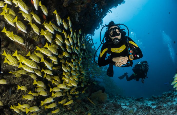 Scuba diving and snorkeling: The best spots worldwide