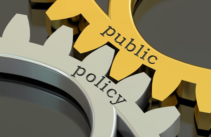 Expert Insights on Navigating Public Policy Effectively