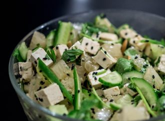 Tofu: The Plant-Based Protein Powerhouse You Need to Add to Your Diet