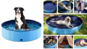  Cooling Products to Keep Your Dog Safe in Summer