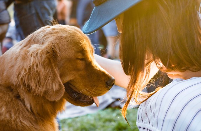 A Dog’s Journey Home: Reuniting with Family After Two Years