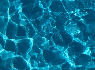 Peeing in the Pool: The Surprising Chemical Reactions and Health Consequences