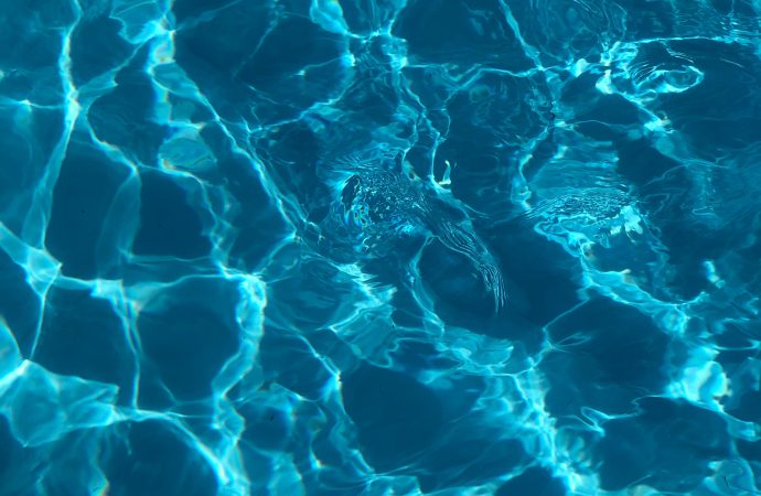 Peeing in the Pool: The Surprising Chemical Reactions and Health Consequences