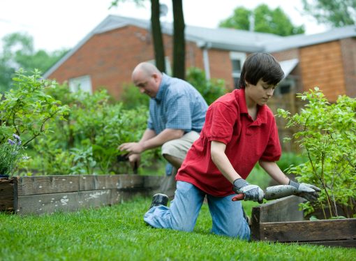 “Greening Your Tiny Oasis: A Guide to Small-Space Gardening”