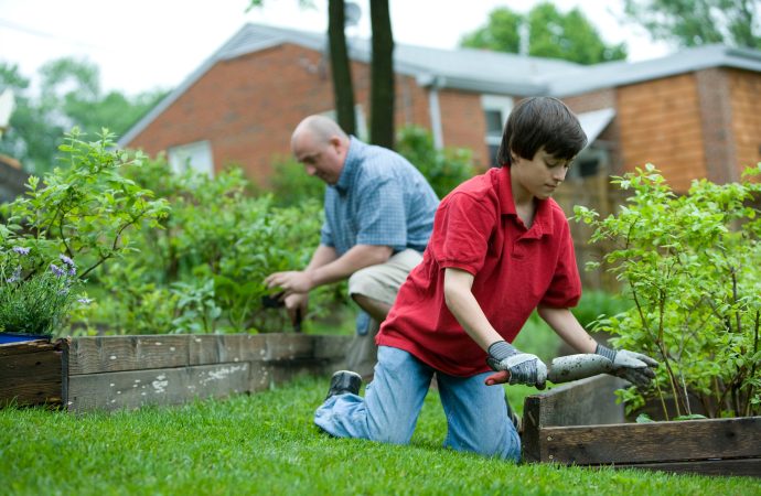 “Greening Your Tiny Oasis: A Guide to Small-Space Gardening”