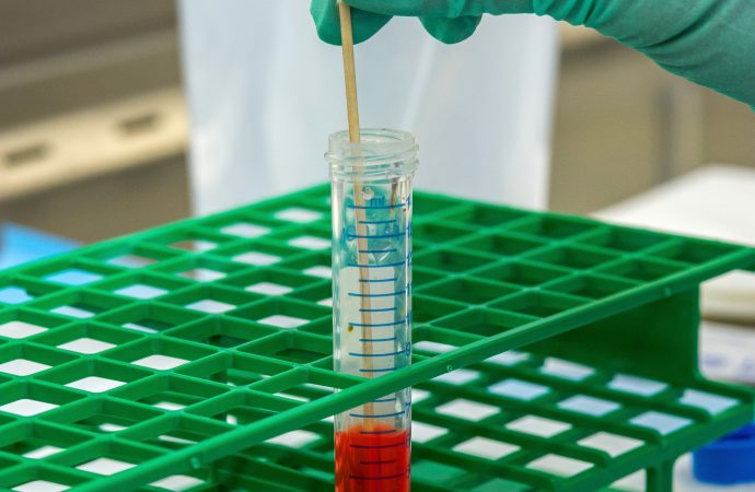 Rapid Cancer Blood Tests: A New Era in Diagnosis or a Cause for Concern?