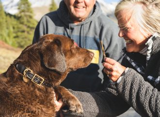 Dining with Your Dog: New Government Guidelines for Outdoor Eating