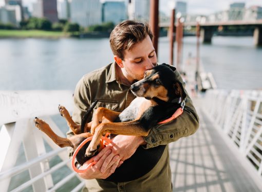 The Long Wait is Over: Dog Reunites with Family After Two Years