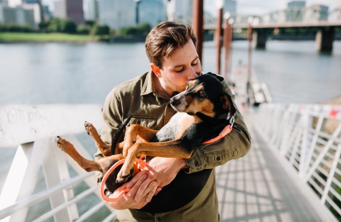 The Long Wait is Over: Dog Reunites with Family After Two Years