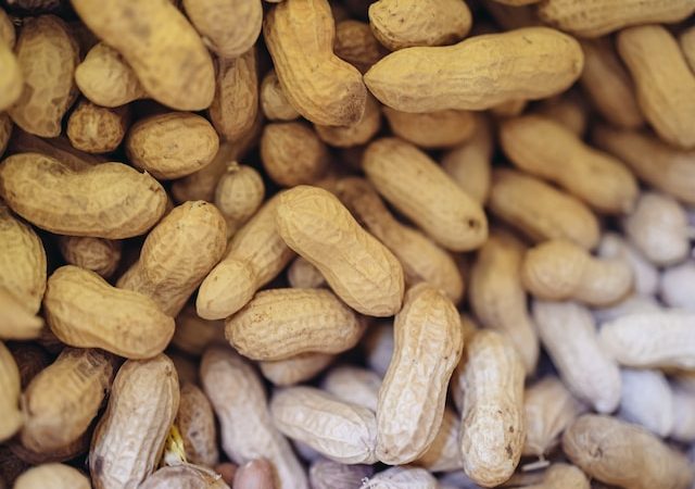 Small Steps, Big Impact: Tiny Peanut Doses Help Alleviate Allergy Symptoms