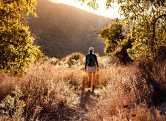 Hiking Trails for Beginners: A Guide to Conquering Nature’s Beauty