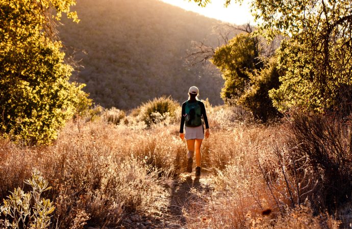 Hiking Trails for Beginners: A Guide to Conquering Nature’s Beauty