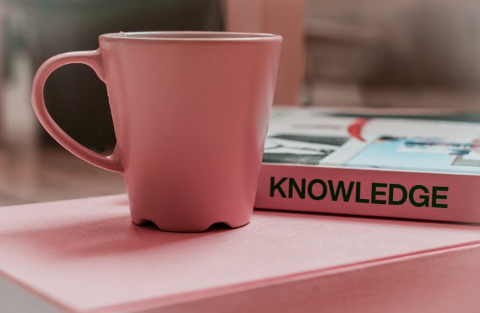 The Importance of Building Knowledge: A New Study’s Perspective