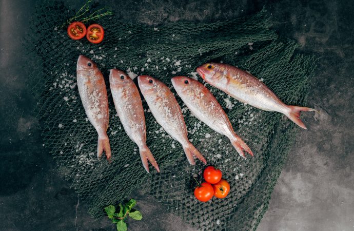 No more undercooked or overcooked fish: Master the art of cooking seafood