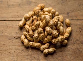 Peanut Allergy Breakthrough: Small Doses Yield Big Results