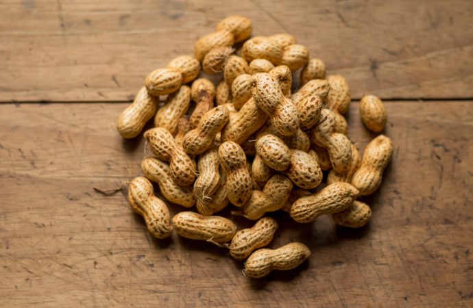 Peanut Allergy Breakthrough: Small Doses Yield Big Results