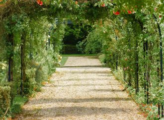 From Dull to Dazzling: Transform Your Garden with Vibrant Leaves and Textures