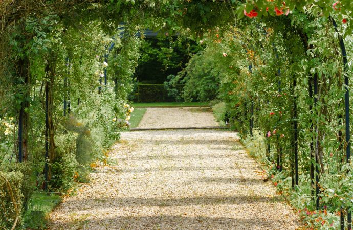 From Dull to Dazzling: Transform Your Garden with Vibrant Leaves and Textures