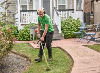 The Secret Garden Indoors: Unlocking the Serenity of Indoor Gardening