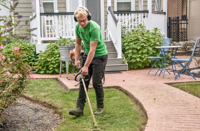 The Secret Garden Indoors: Unlocking the Serenity of Indoor Gardening