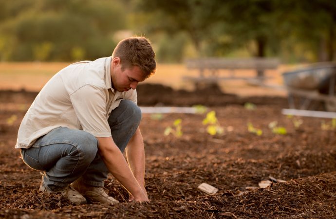 Growing Together: Harnessing the Transformative Potential of Community Gardens